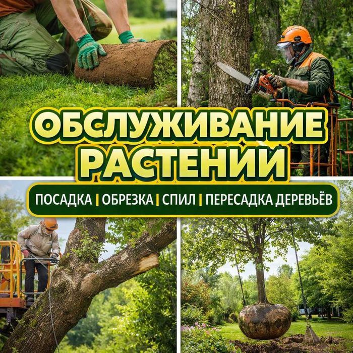 Уборка территории