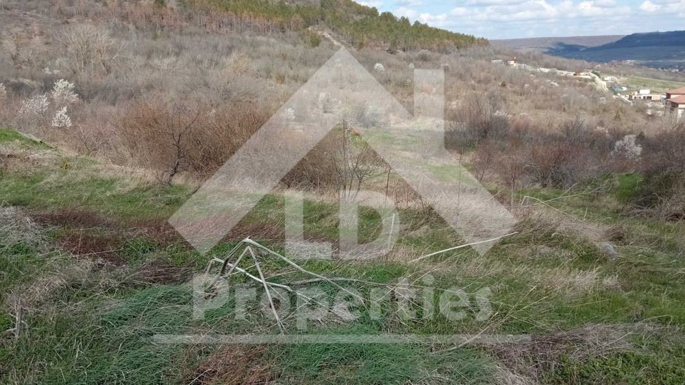 Продава се Парцел в с. Рогачево, Област Добрич - 3505 кв.м за 9 €/кв.м - Снимка #1