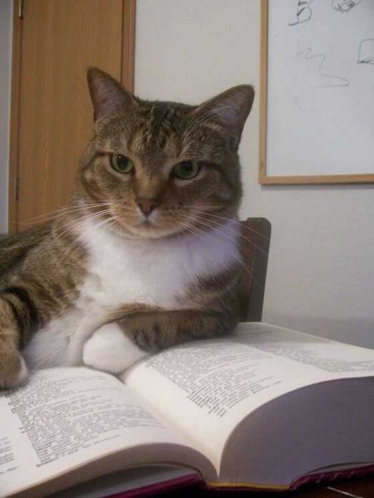 Meditații limba engleză