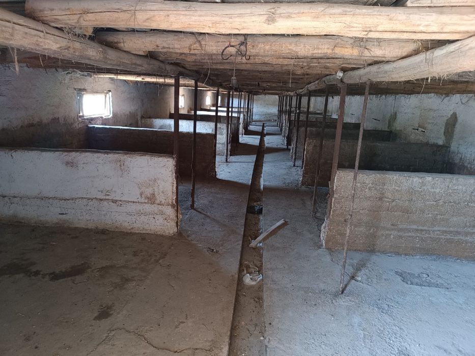 Продается дача в дачном посёлке 6 сотых