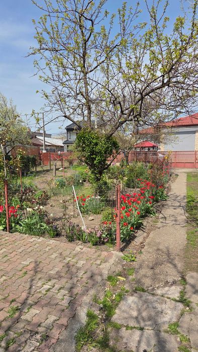Casa de vanzare GR ultracentrala Str. Cerbului