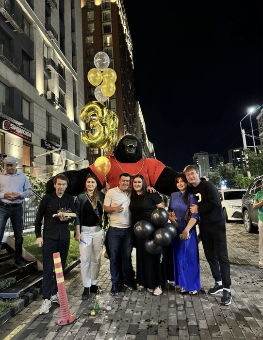 Горилла 8.000 Умка Панда Бурый медведь