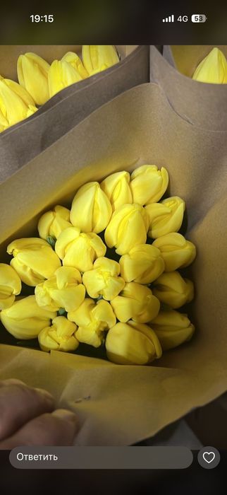 Тюльпаны оптом Алматы /Цветы Роза