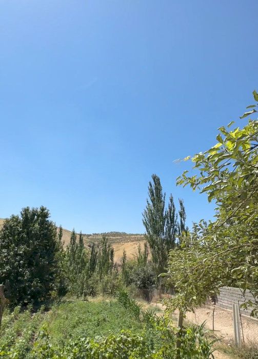 Срочно Продаётся Земельный участок под Дачный Бизнес. Паркент