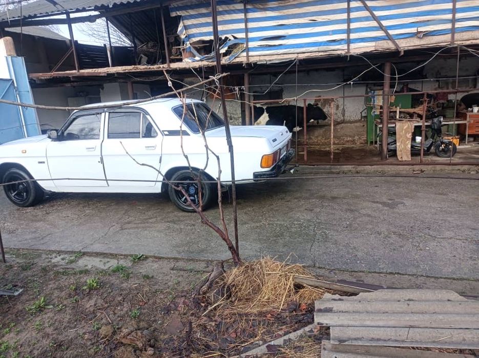 Продается волга 310290