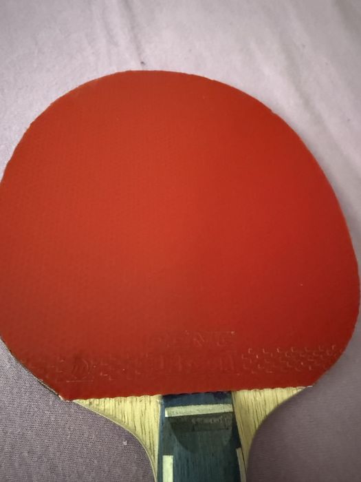 Paleta profesionala Donic
