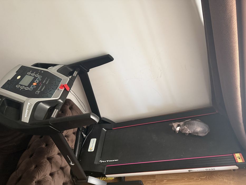 Vand banda de alergat