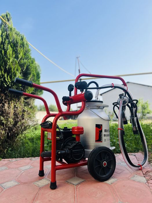 Yaqin planda porno toplami