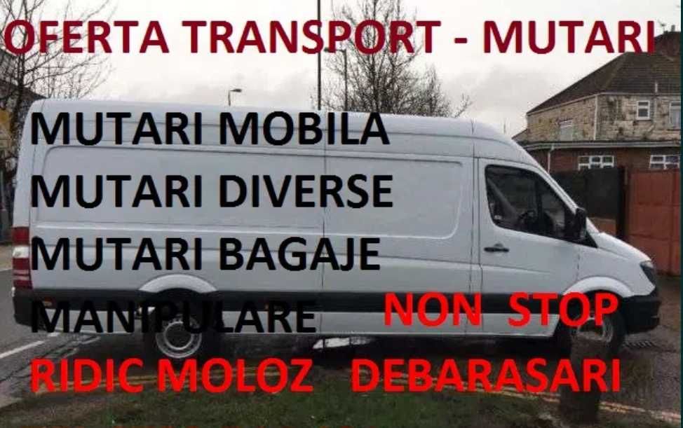 Transport Marfa Mutari Mobila Debarasari Ridic moloz Timisoara