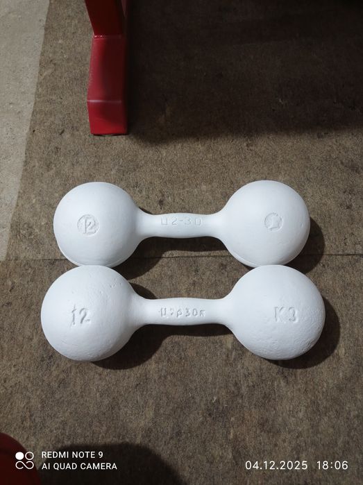 Гантели СССР литые 12 кг.