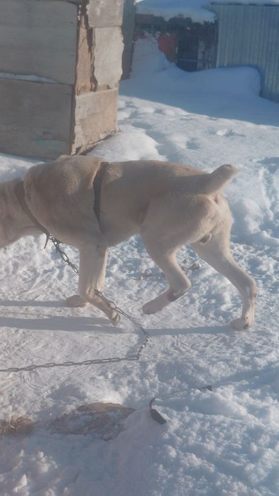 Продам срочно!!!