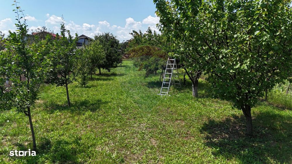 Casă batraneasca cu 3 camere-Oportunitate de Investiție in Domnesti