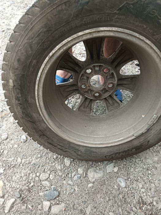 Тайотаға кыстык донгелек шипы