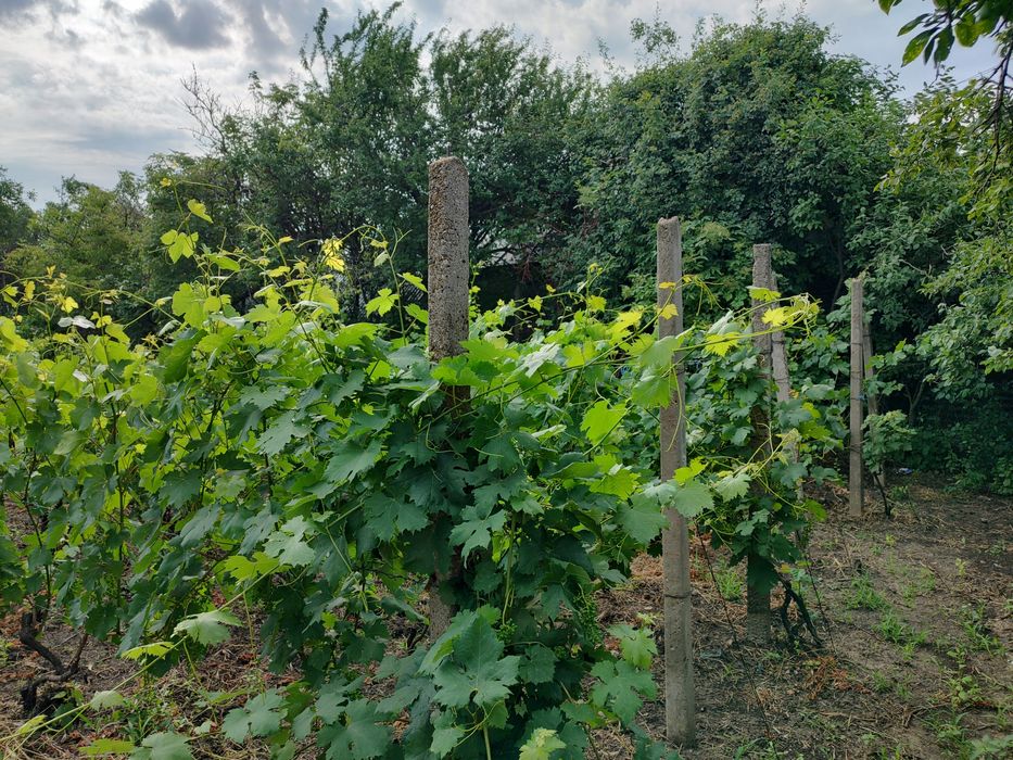 Teren intravilan Breaza / Buzau