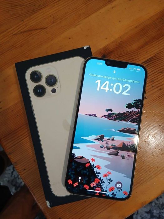 Iphone 13 pro max
