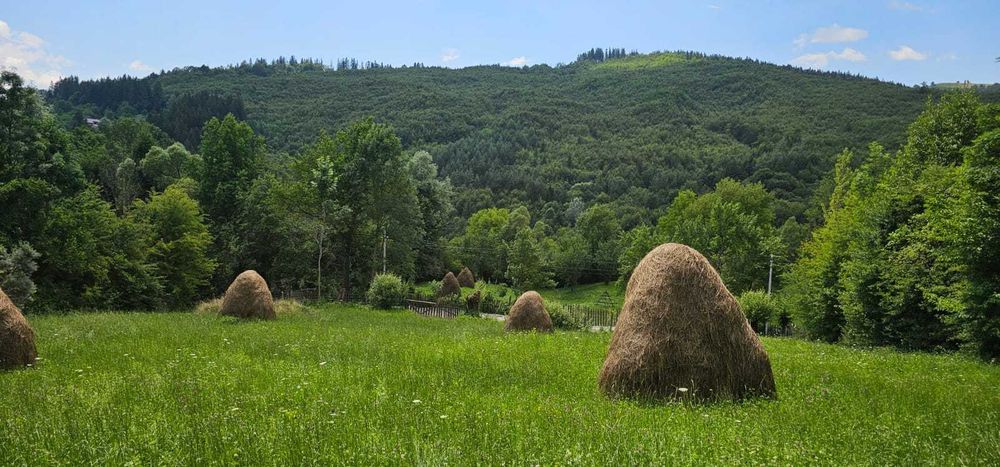 Teren intravilan 2.000 mp de vanzare in comuna Valea Doftanei, Sat Tesila - zona superba, case de vacanta.