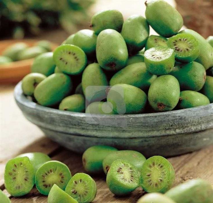 Киви Actinidia arguta Issai - МИНИ КИВИ