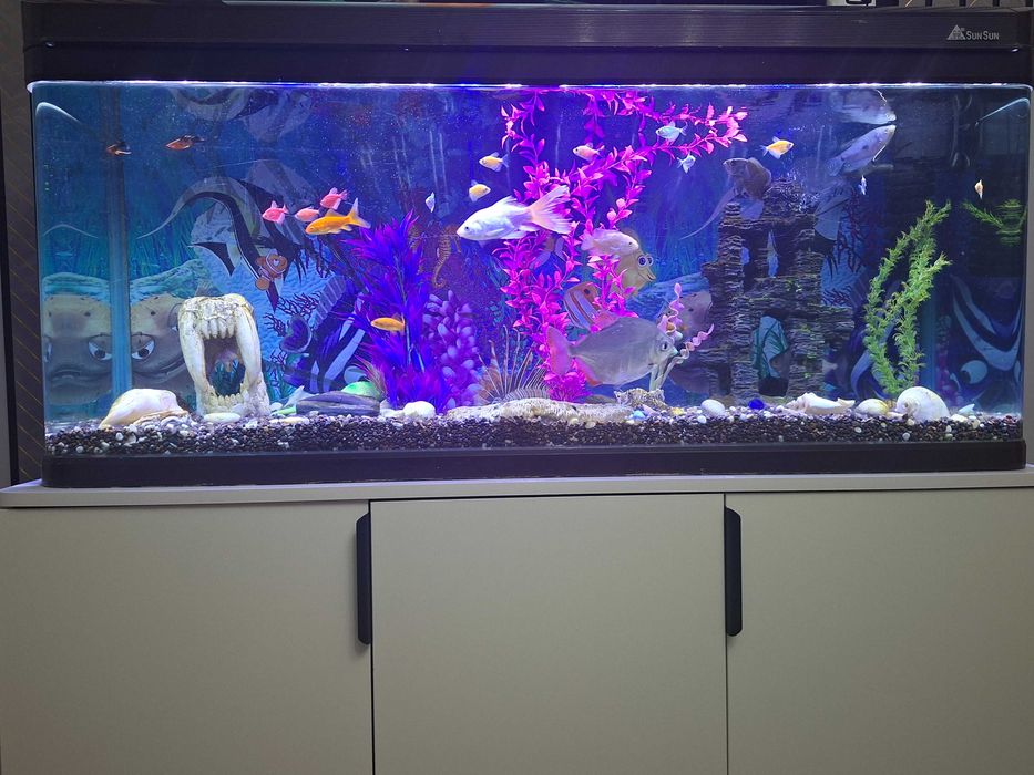 Завадской Аквариумы рыбками