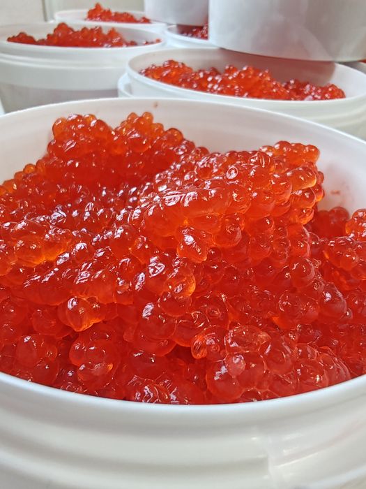 Икра 4 вида цена производителя.