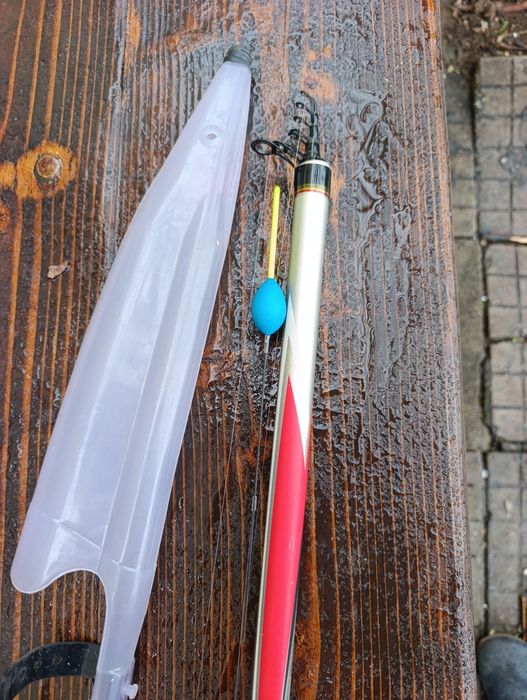 Болонеза Miterson 5