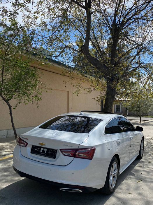 ТайорМалибуPrimer