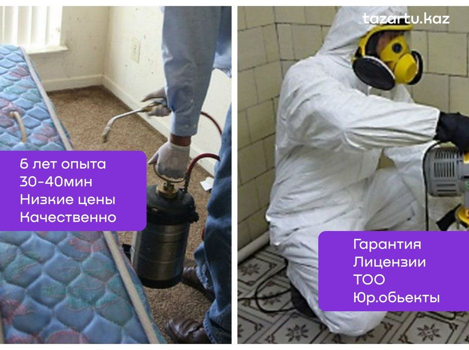 Услуги СЭС. СанЭпидемСтанция