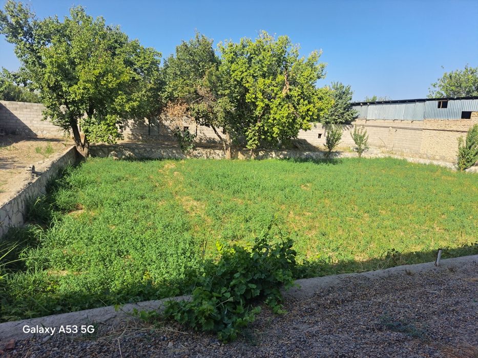 Uchastka 13 sotix Manzil:Buxoro viloyati Kogon tumani Xo'ja Yakshaba.