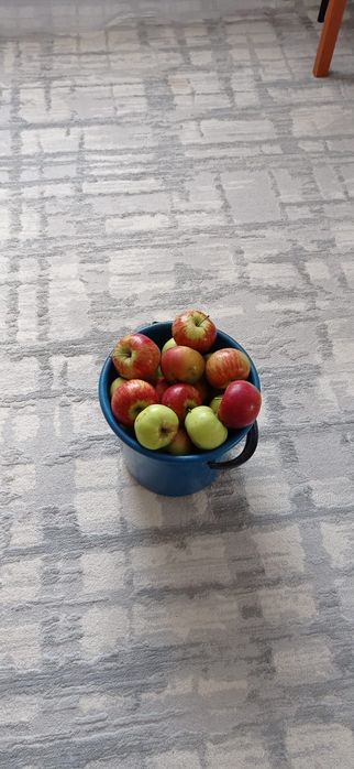 Продам Виноград, яблоки