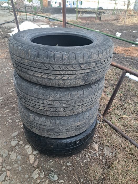 Шина летний безкамерка