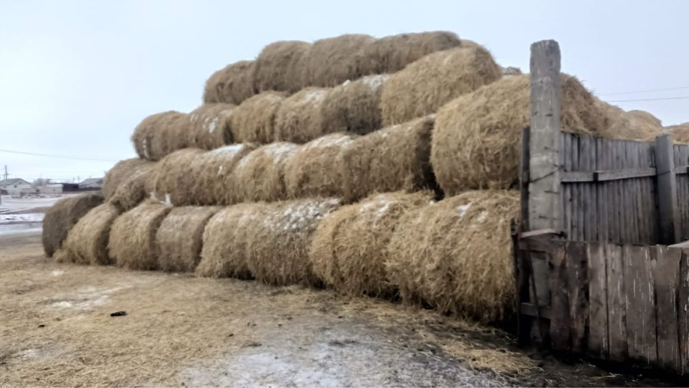 Продам солому ,сено