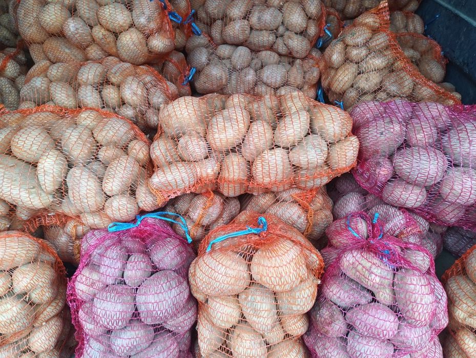 Cartofi consum alb și roșu calibru 55+