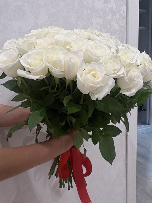 продам 51 белый роза