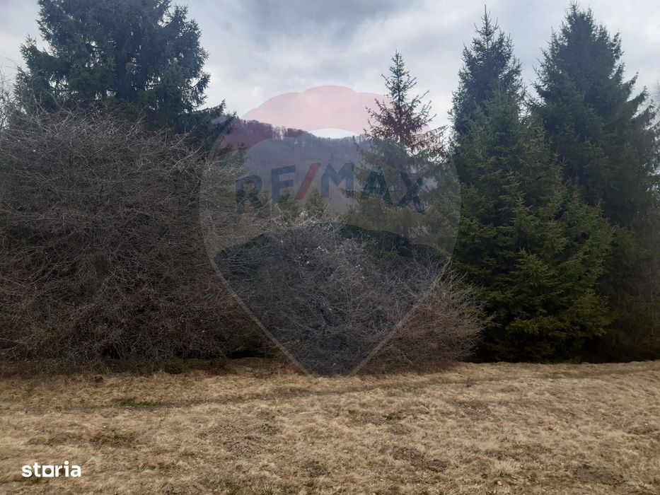 Teren Rasnov, Soseaua Predealului DN73B