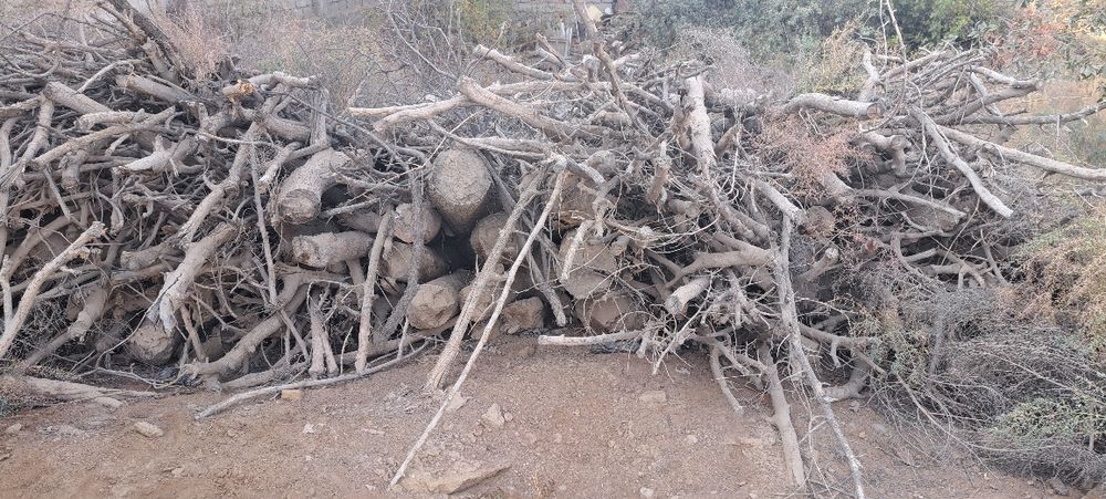 Ўтин    сотилади.