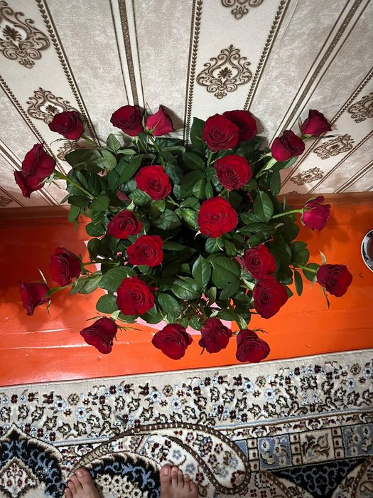 Цветы Гул срошна сатылады