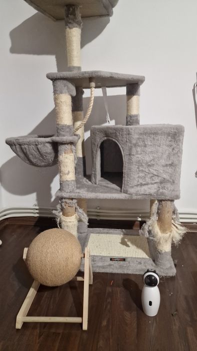 Anunț vânzare – accesorii pentru pisici (stare foarte bună / noi)