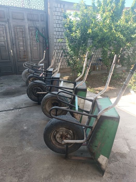 biton mshalka arava bayok arenda