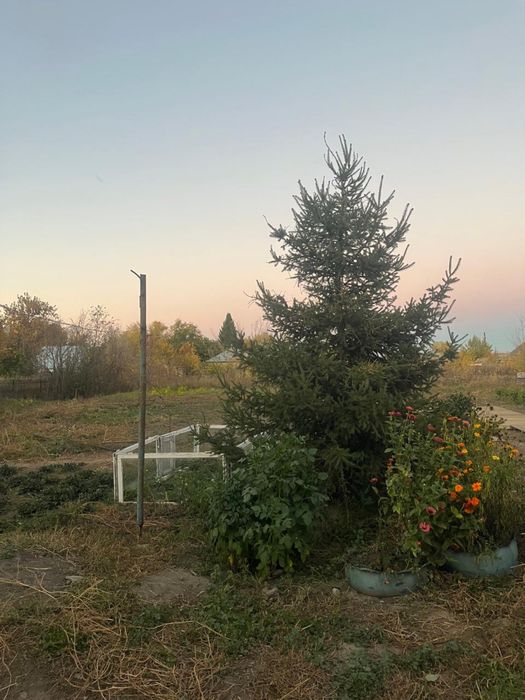 Продается дом с.Уварово