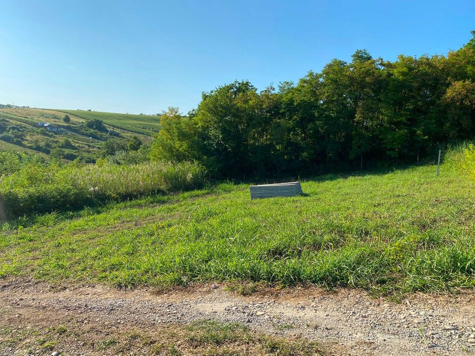 Teren Intravilan 680 mp, Valea Lupului