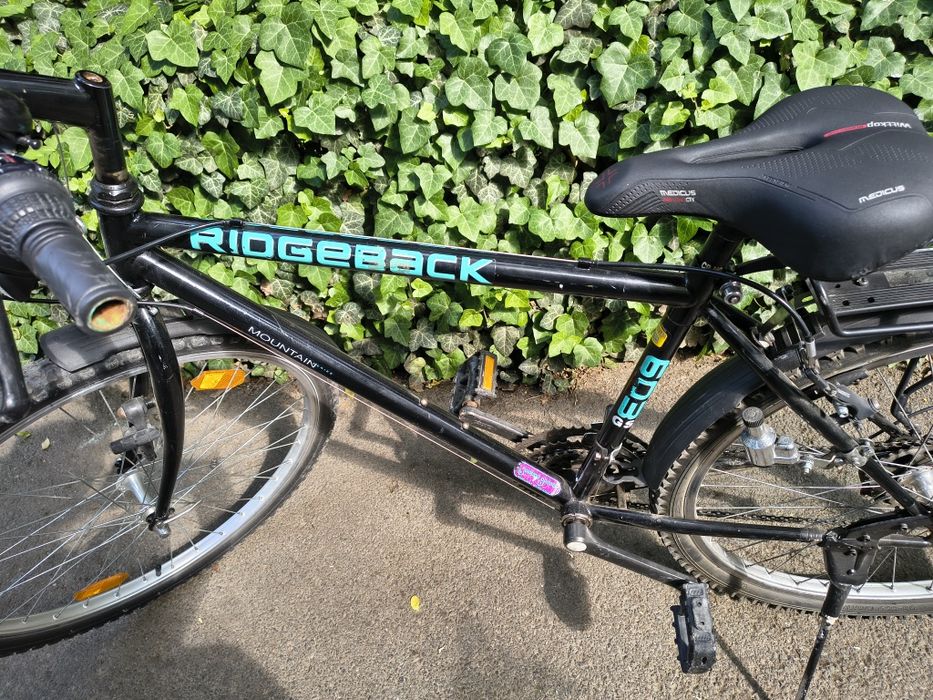 Vând bicicleta .