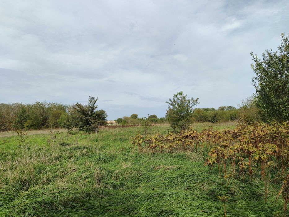 Стара къща в Челопечене