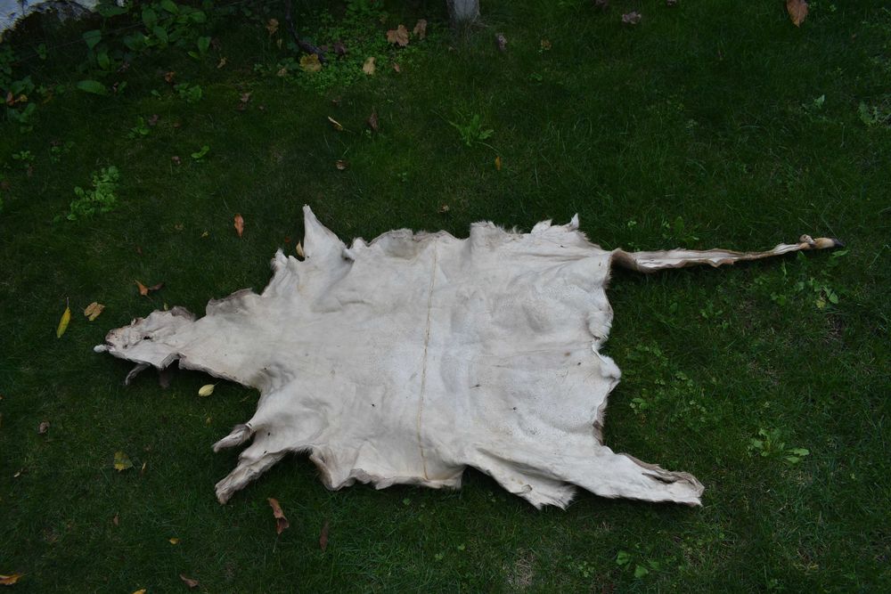 Кожа за декорация сърна