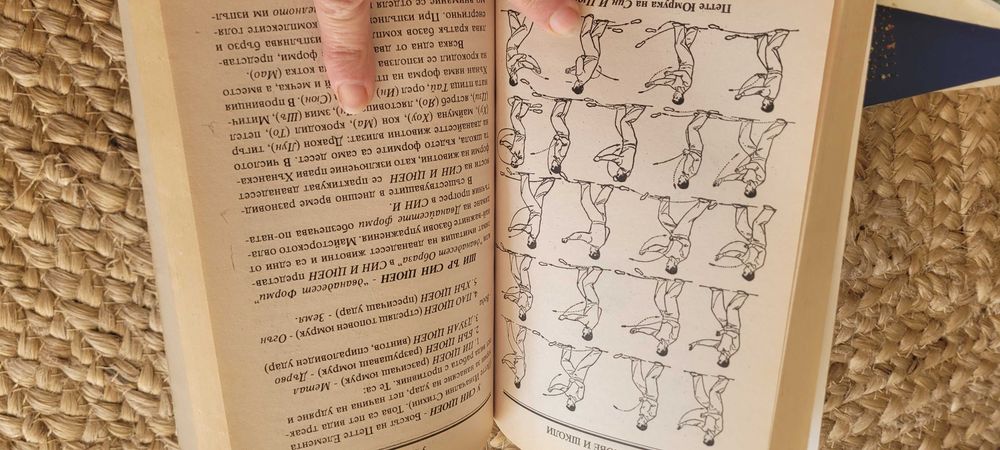 Стилове и школи УШУ