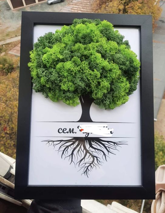 Картини със скандинавски мъх