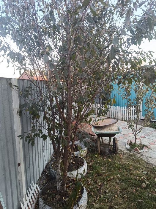 Продам частный дом !!!