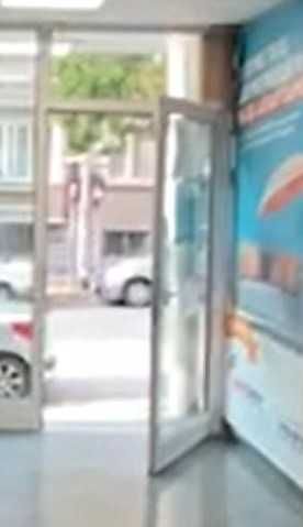 алуминиева врата