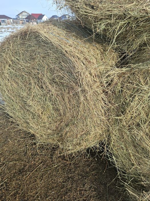 Baloți de lucernă uscată,înfoliată,de fân și baloți de paie de vânzare