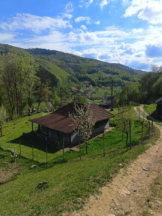 Casa cu teren. Munteni