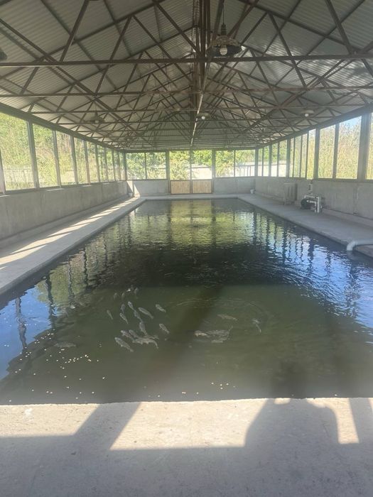 Продается загородный дом со всеми удобствами площадью 1га