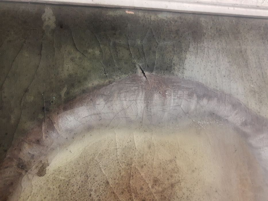 Портрет на Георги Димитров